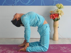 树立了一个完美的瑜伽老师的榜样-陕西  李晓