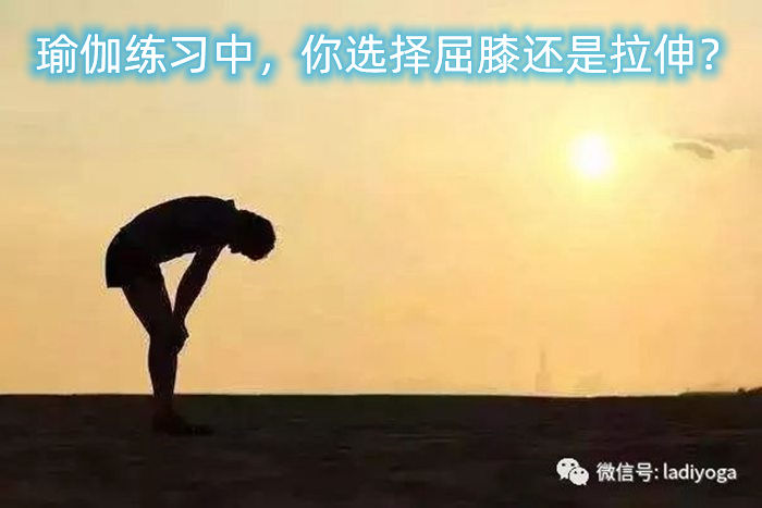 瑜伽练习中，你选择屈膝还是拉伸？